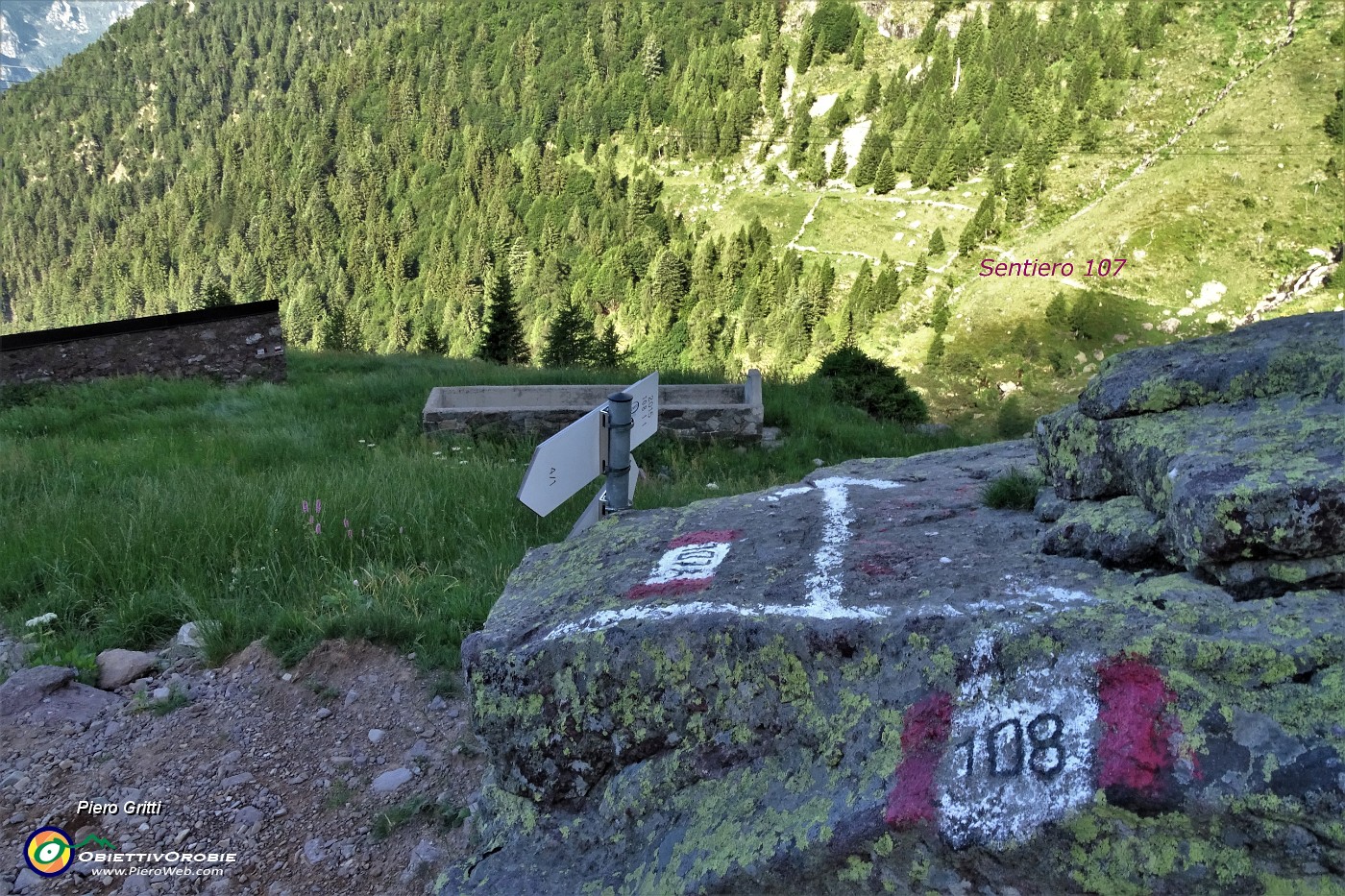 18 Scendo a sx sul sent. 107A per Val Pianella - Bocca di Trona.JPG -                                